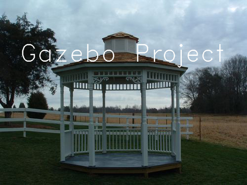 Project